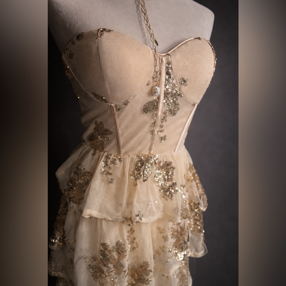 Function & Fringe Edit | Sequin Strapless Corset Mini Dress Lace-Up Back - Picture 3 of 4